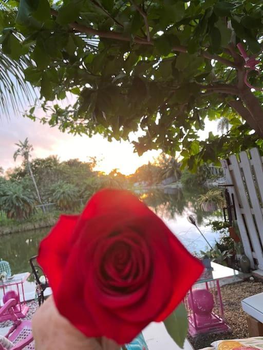 Kasa Karma On Water King Pool Paradise,Best Beaches,Restaurants, Gulfstream,Hard Rock Casino Hallandale Beach Esterno foto