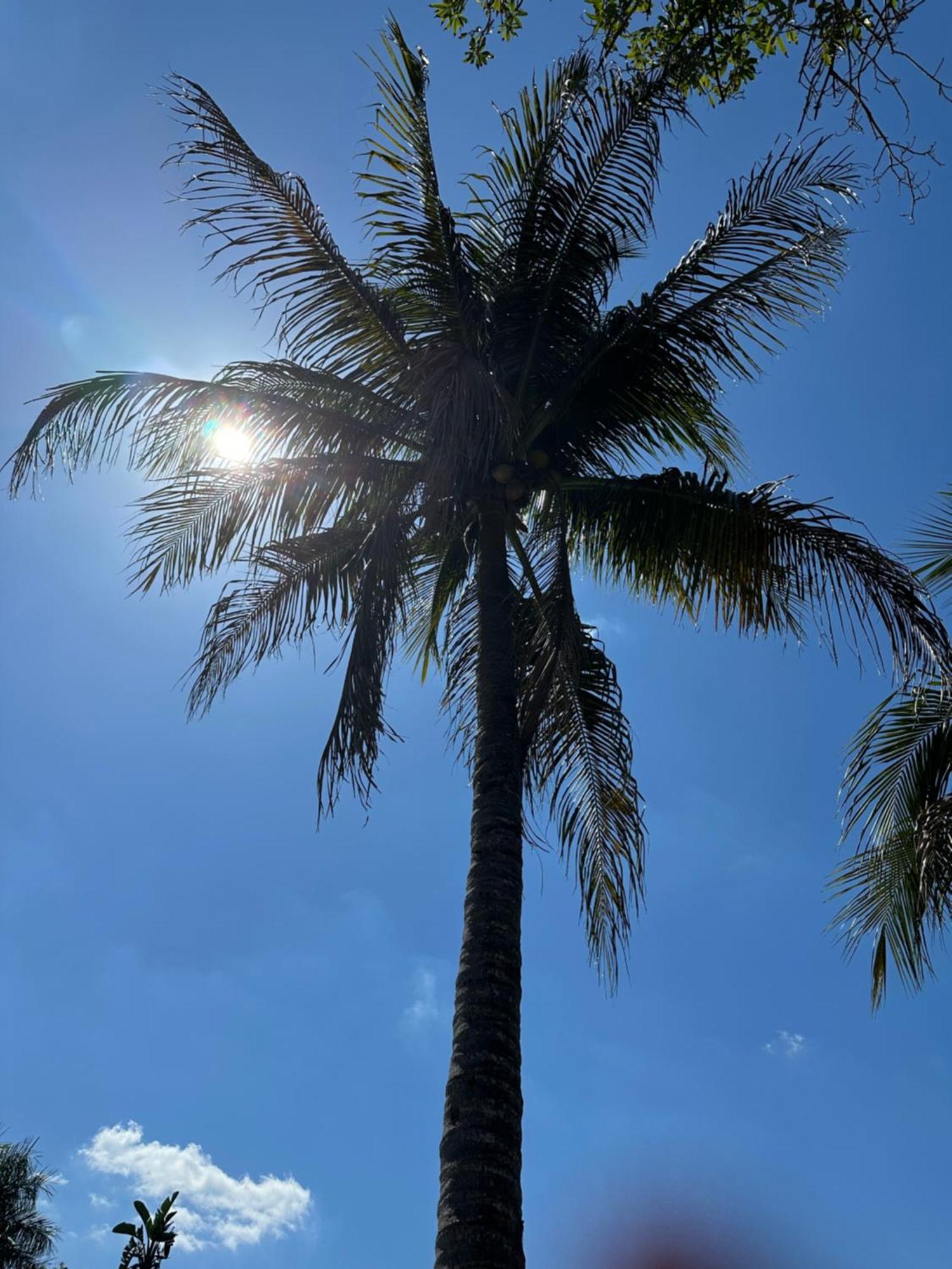 Kasa Karma On Water King Pool Paradise,Best Beaches,Restaurants, Gulfstream,Hard Rock Casino Hallandale Beach Esterno foto